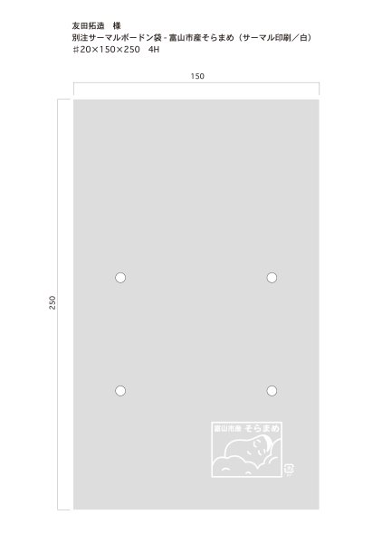 画像1: 別注ボードン袋　そら豆用袋 ♯20　150×250　4穴加工あり　10,000枚（友田様） (1)